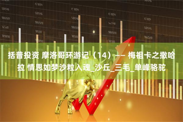 括普投资 摩洛哥环游记（14）—— 梅祖卡之撒哈拉 情思如梦沙粒入魂_沙丘_三毛_单峰骆驼