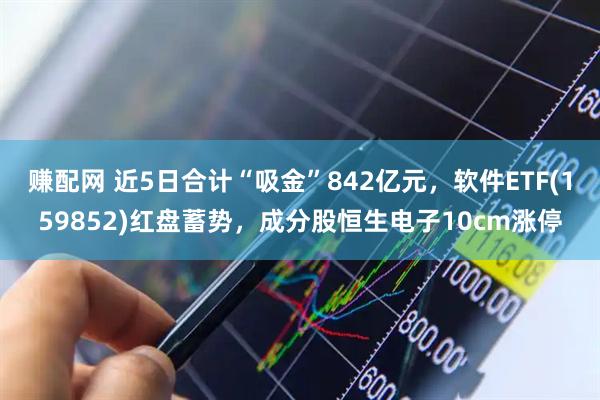 赚配网 近5日合计“吸金”842亿元，软件ETF(159852)红盘蓄势，成分股恒生电子10cm涨停